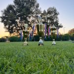 Imagen de WhatsApp 2025-10-19 a las 21.23.44_0ba7cf2c